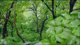 Rajjo - 24th September 2022